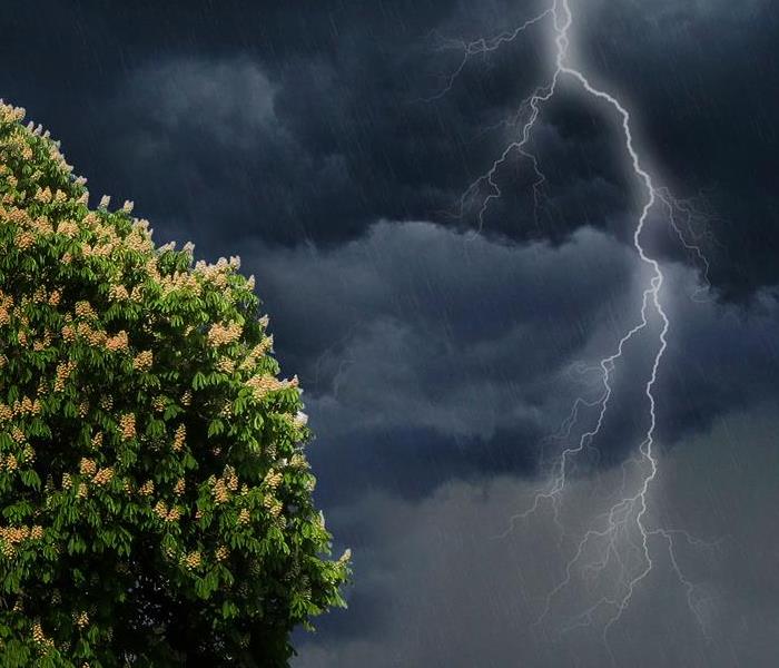 lightning strike near tree